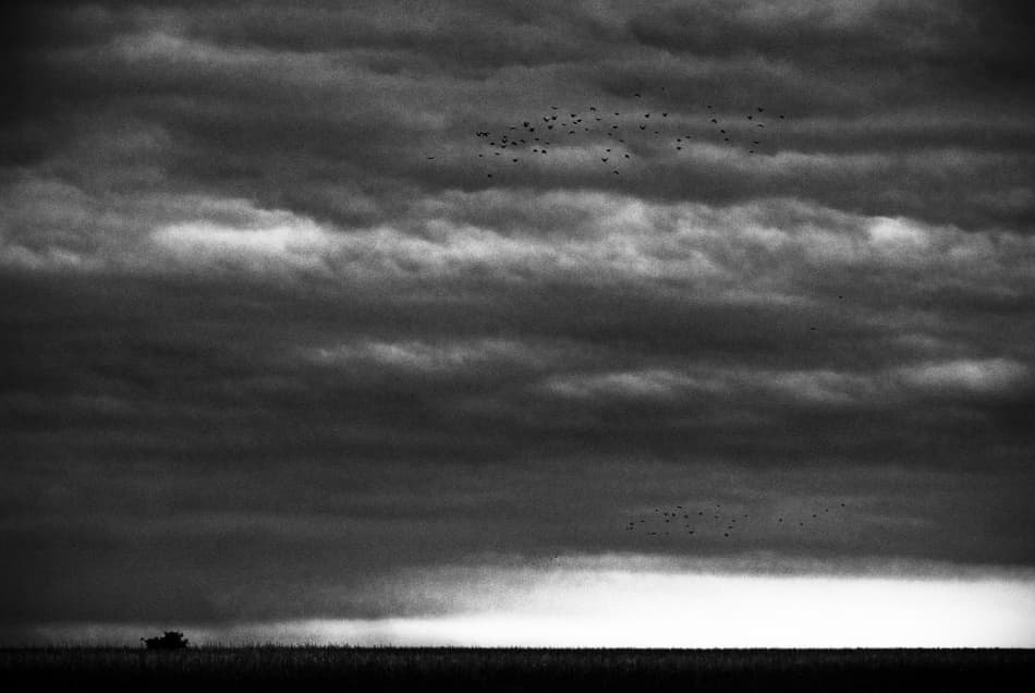 Stormy Sky Over Field by Codrin Lupei — canvas wall art