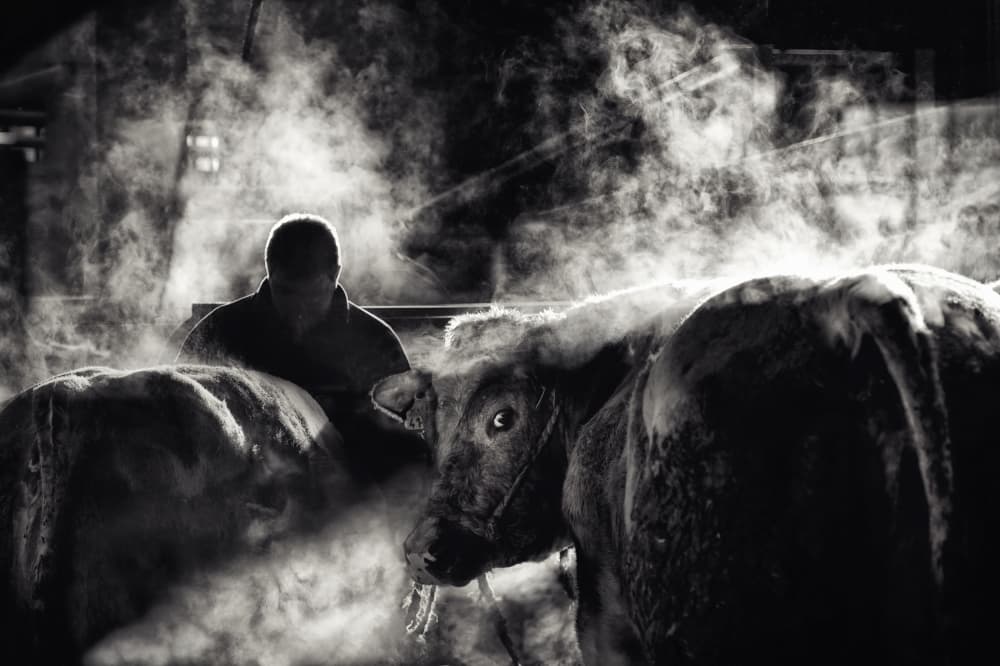 Moody Farm Morning by Piet Flour — canvas wall art
