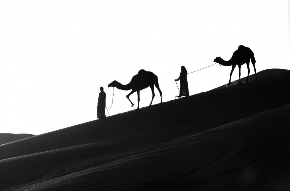 Camel Caravan Silhouette by Karim Al Thahaby — canvas wall art