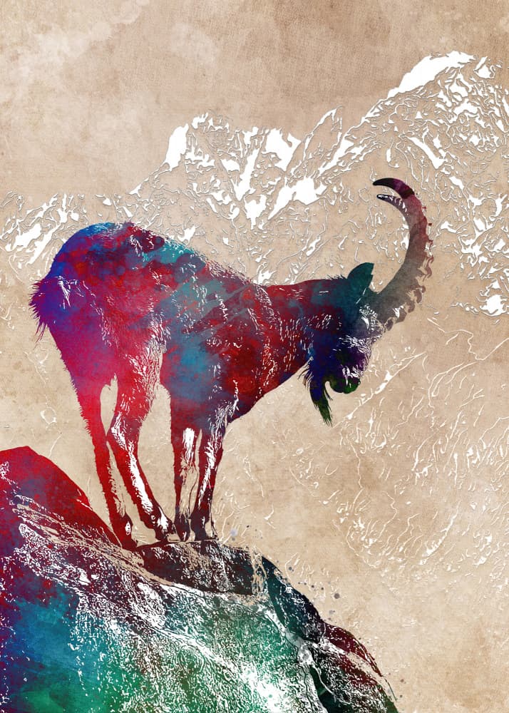 Vibrant Mountain Ibex by Justyna Jaszke — canvas wall art