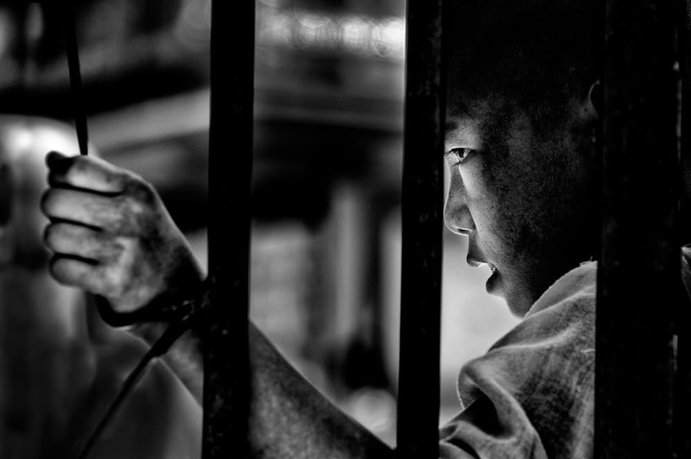 Young Gaze Through Bars by Giovanni Cavalli — canvas wall art