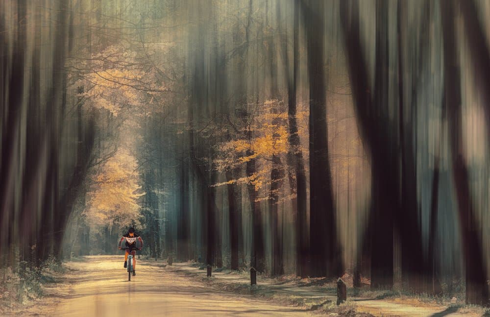 Cycling Through Autumn Woods by Jan van der Linden — canvas wall art