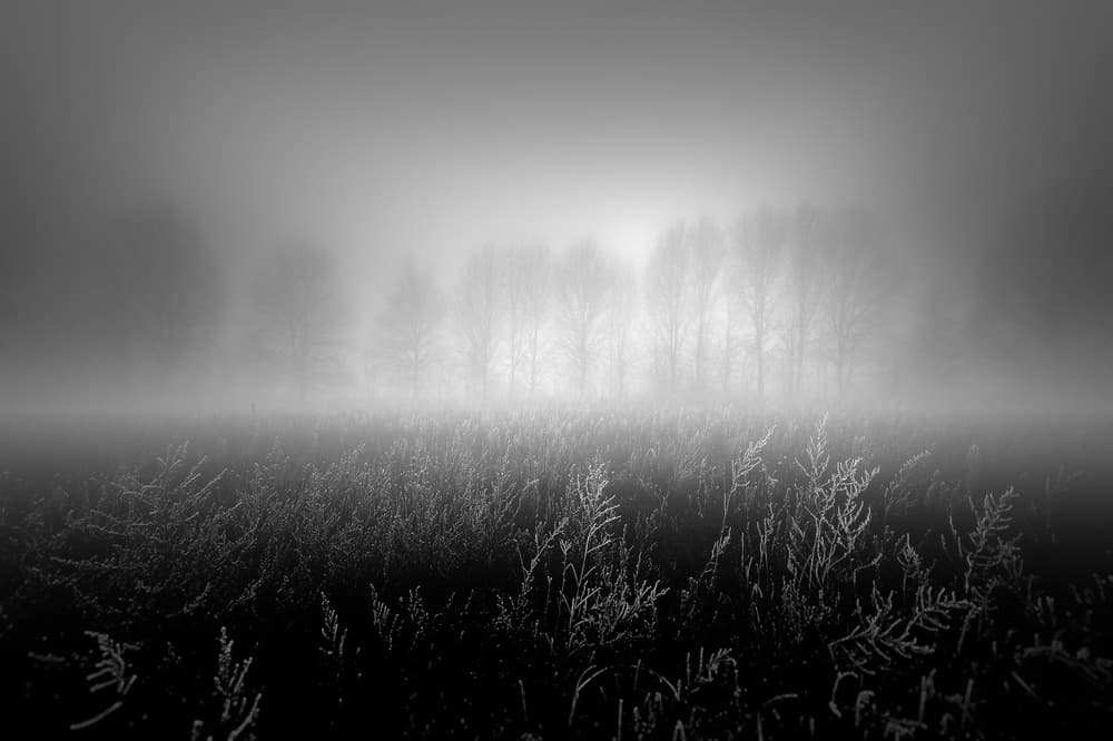 Dreamy Foggy Landscape by Marc Huybrighs — canvas wall art