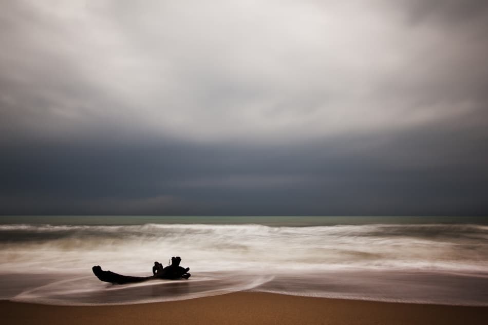 Driftwood on Moody Beach by Massimo Della Latta — canvas wall art