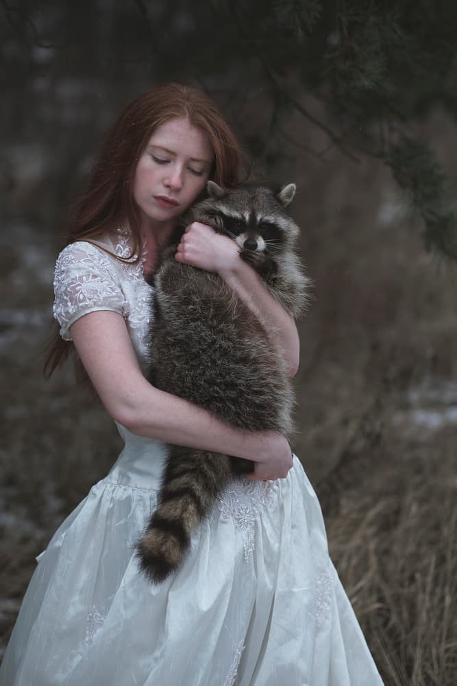 Ethereal Raccoon Embrace by Olga Barantseva — canvas wall art
