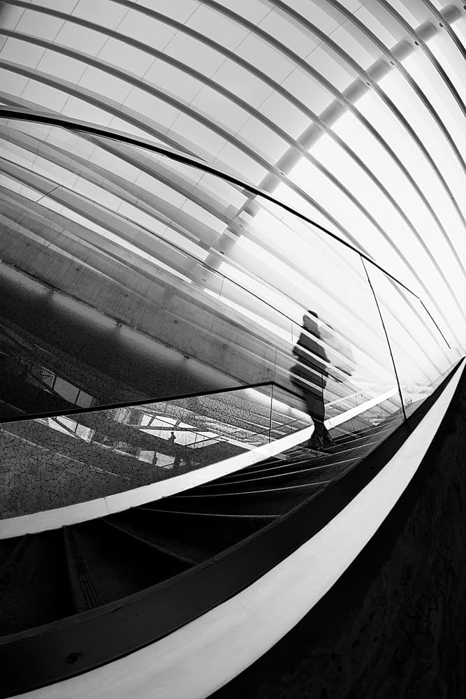 Dynamic Staircase Silhouette by Paulo Abrantes — canvas wall art