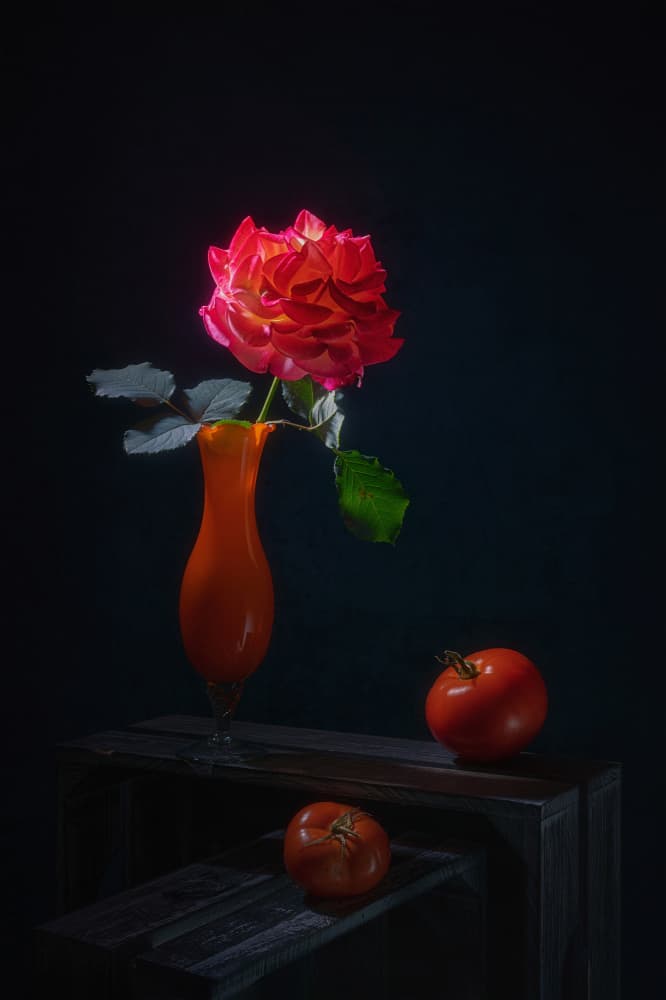 Dramatic Rose Still Life by Lydia Jacobs — canvas wall art
