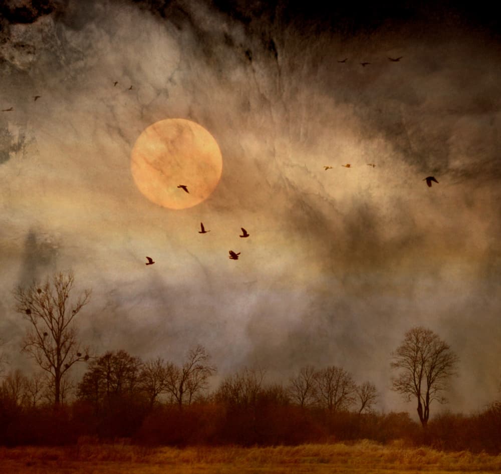 Twilight Moon Flight by Robert Fabrowski — canvas wall art