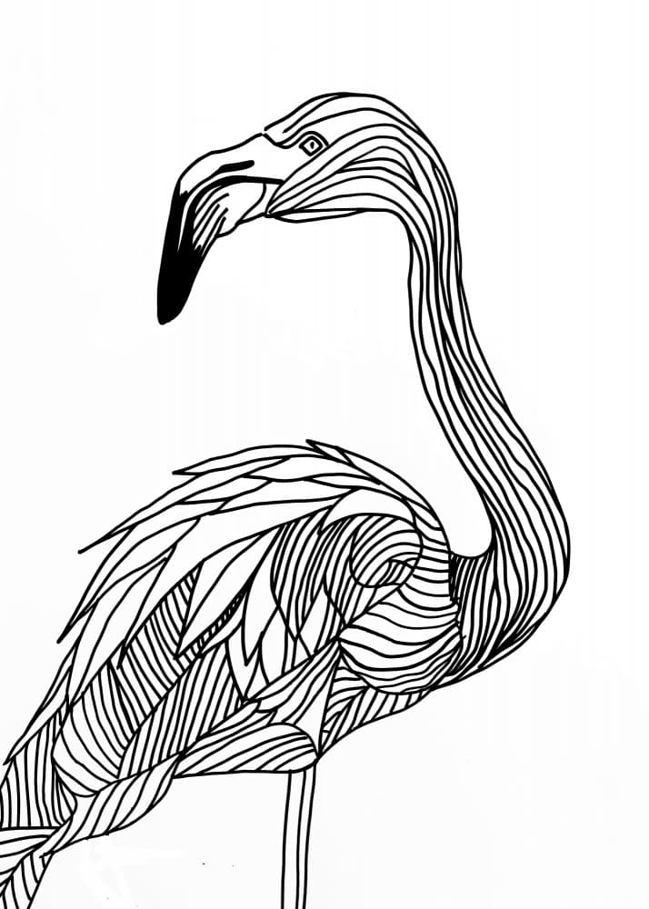 Elegant Patterned Flamingo by Justyna Jaszke — canvas wall art
