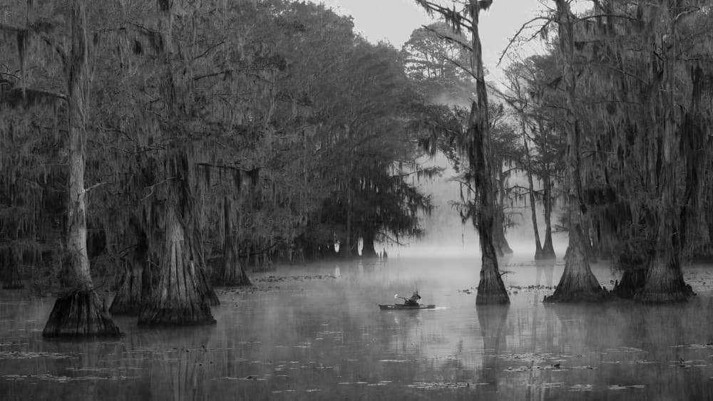 Lone Kayaker Misty Swamp by Leah Xu — canvas wall art