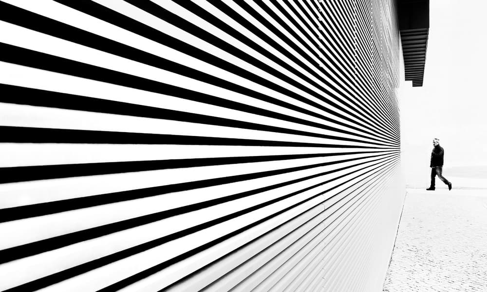 Striped Wall Walker by Paulo Abrantes — canvas wall art