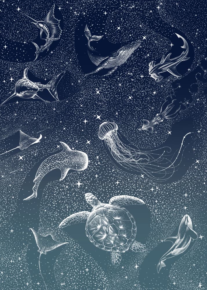 Cosmic Ocean Animals by Alirıza ÇAKIR — canvas wall art