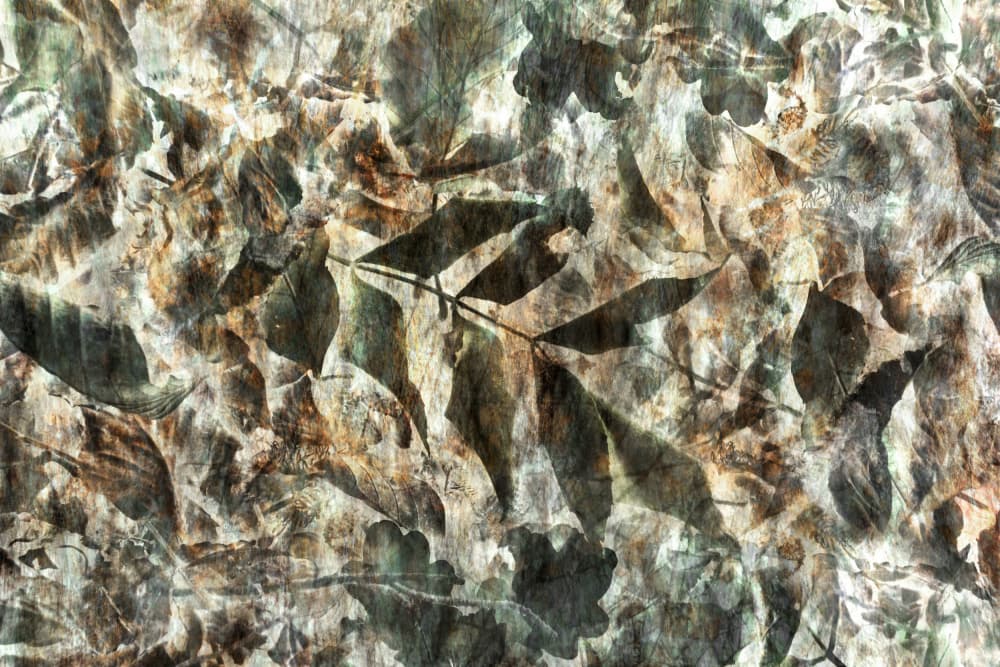 Natural Leaf Pattern by Christina Sillen — canvas wall art