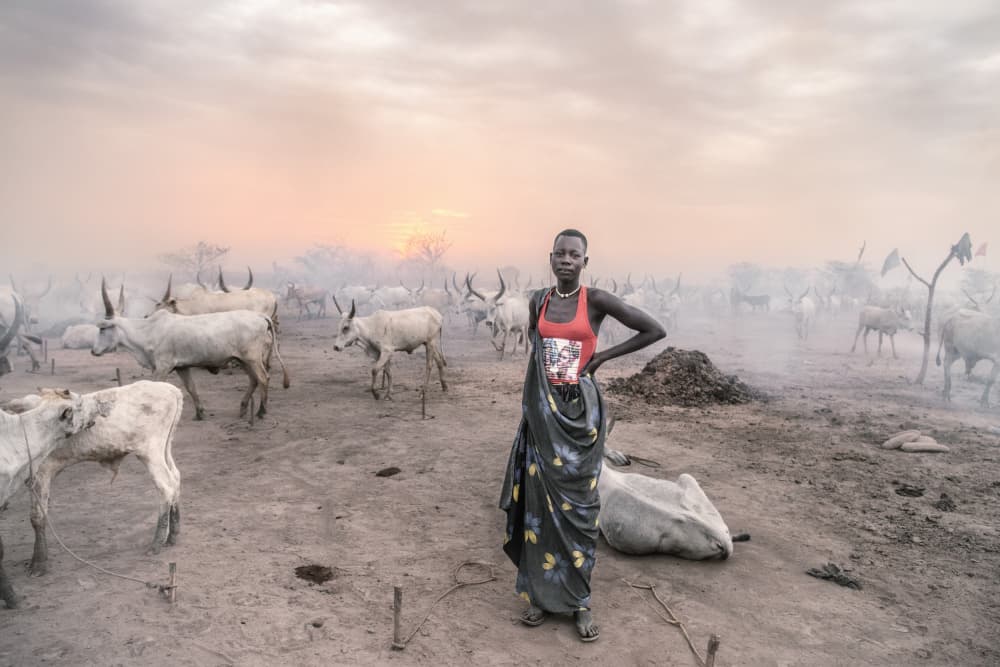 African Woman Cattle Sunset by Trevor Cole — canvas wall art