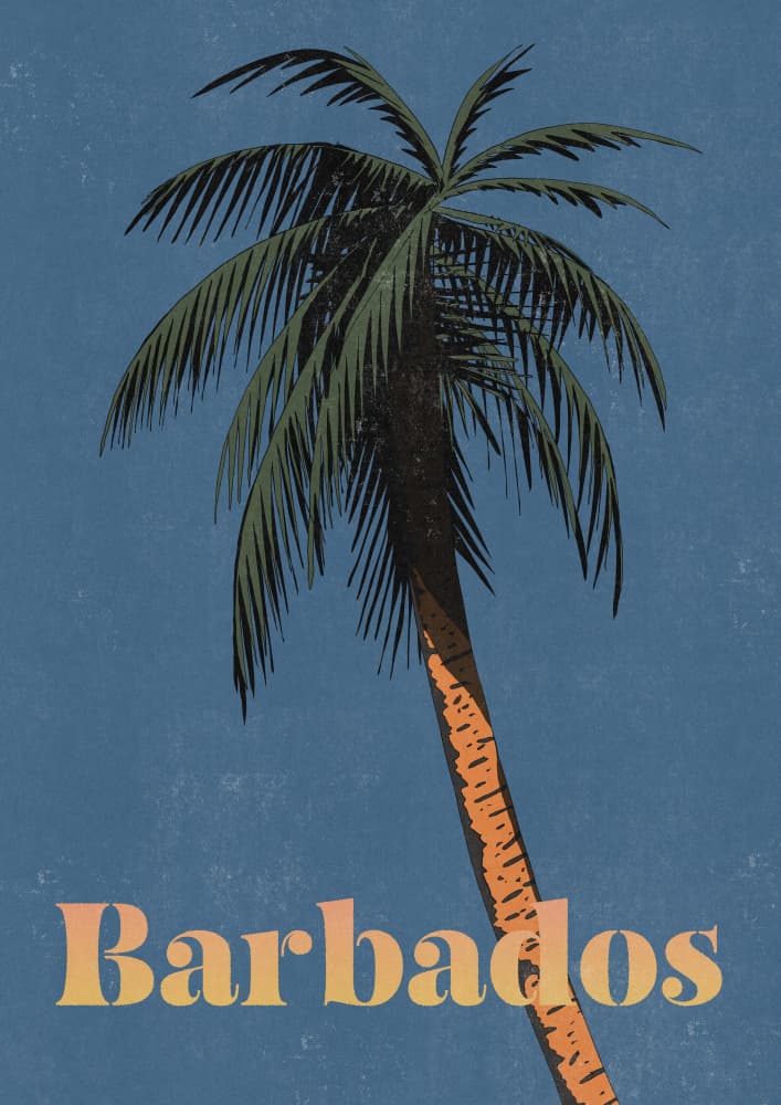 Vintage Barbados Palm by Nicholas — canvas wall art