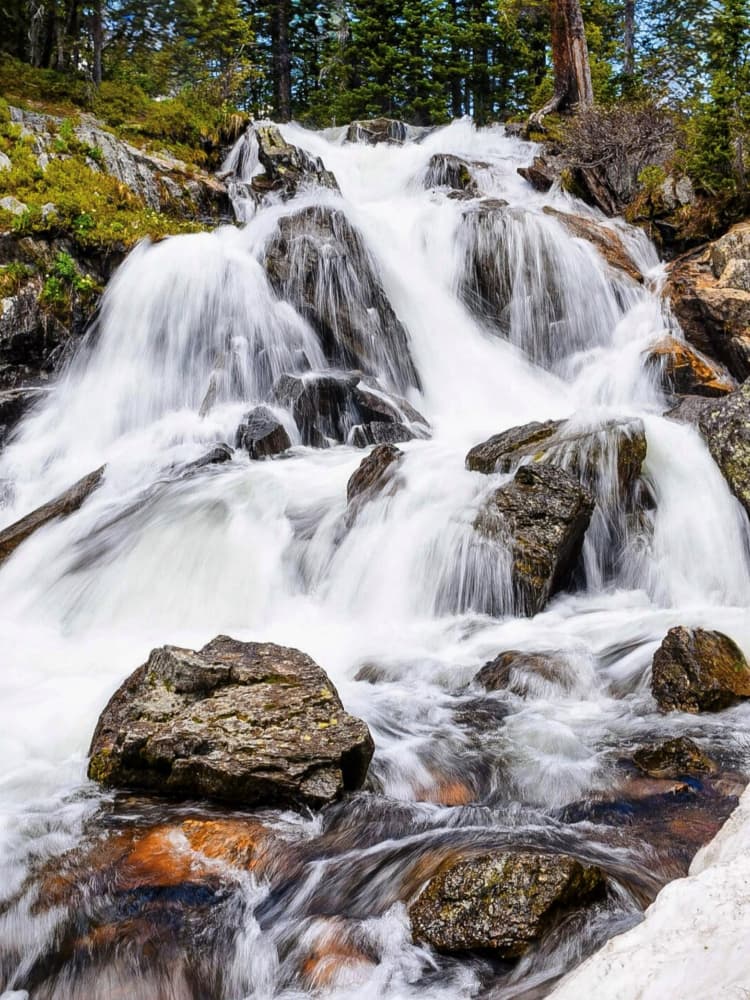 Silky Forest Waterfall by Del Mundo Portraits — canvas wall art