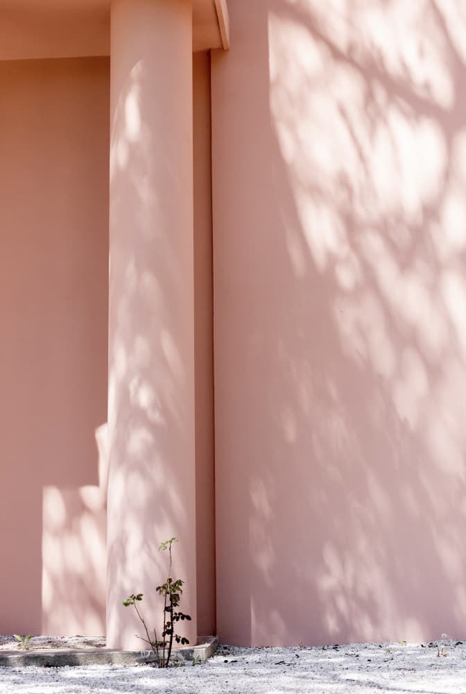 Pink Wall and Tree Shadows by Mareike Böhmer — canvas wall art