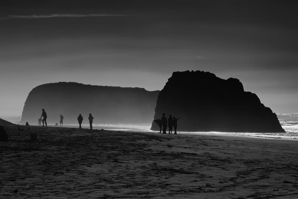 Coastal Silhouettes at Dawn by Raffi Bashlian — canvas wall art