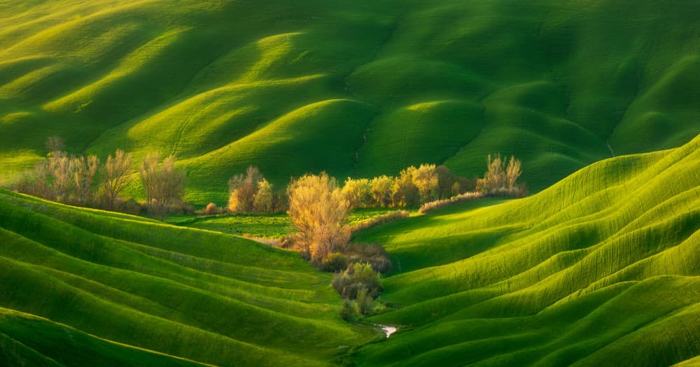 Rolling Green Hills by Krzysztof Browko — canvas wall art