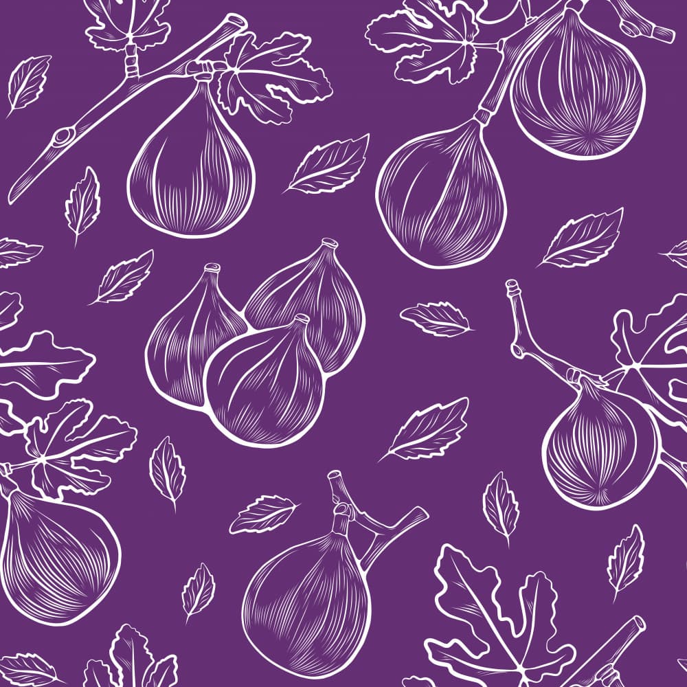 Purple Fig Pattern by Nataliia Timkova — canvas wall art