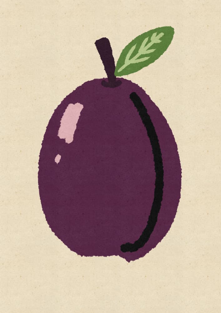 Simple Plum Still Life by Nicholas — canvas wall art
