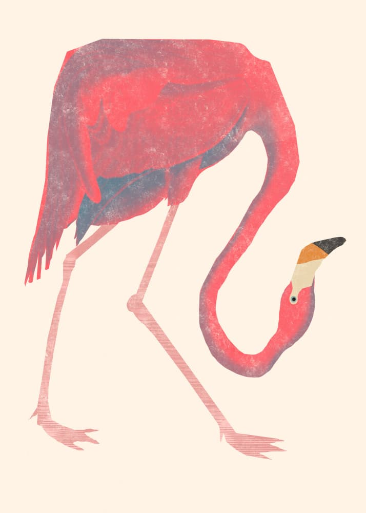 Flamingo by Josephin Hermsdorf — canvas wall art