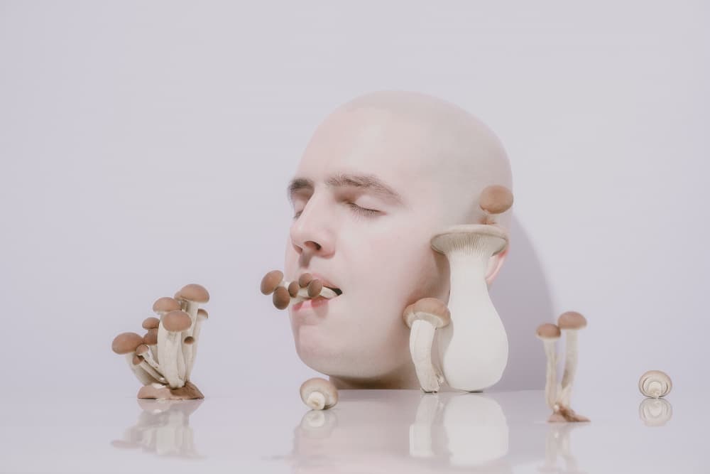 Surreal Mushroom Head by Alena Zabolotina — canvas wall art