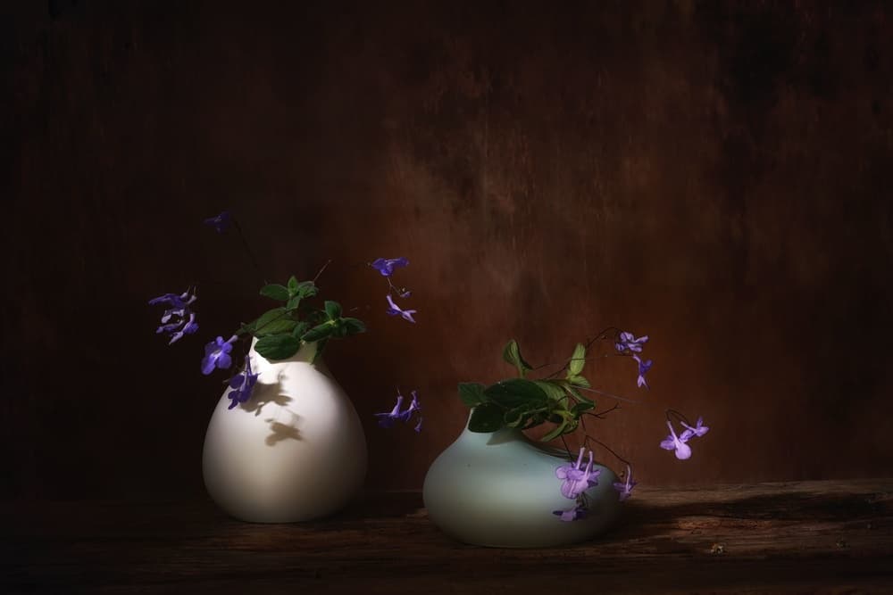 Floating Purple Blooms by Saskia Dingemans — canvas wall art