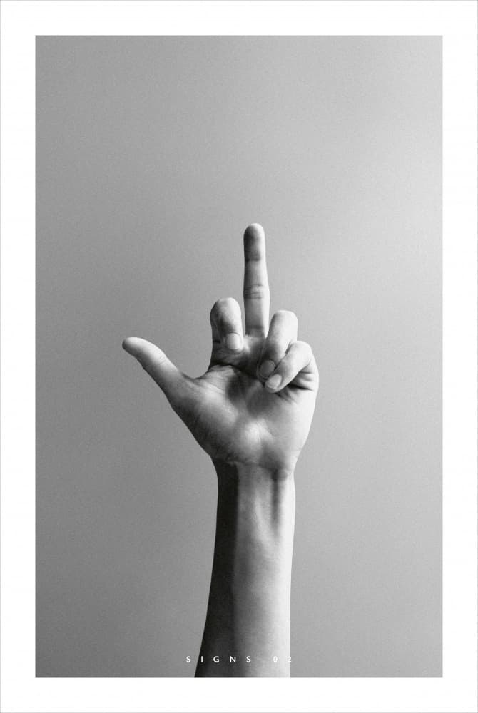 Raised Middle Finger by Sarah Bühler — canvas wall art