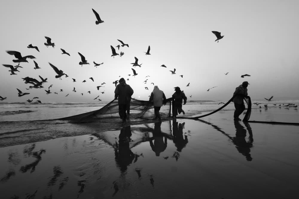 Dawn Fishermen Birds by Josefina Melo — canvas wall art