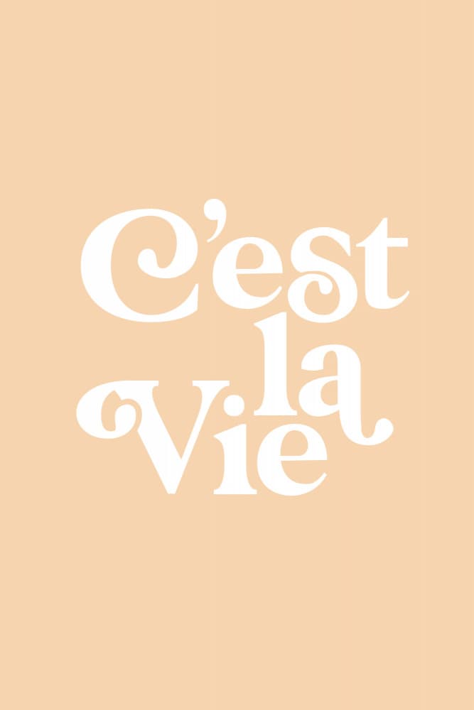 Minimalist C'est La Vie by Brett Wilson — canvas wall art