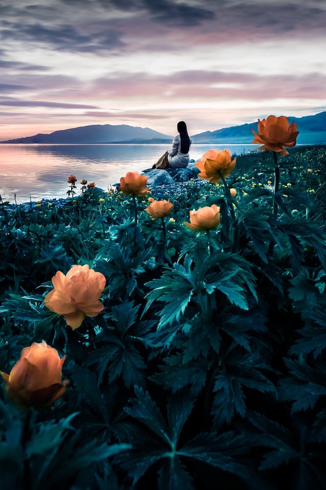 Lakeside Contemplation by qiye — canvas wall art