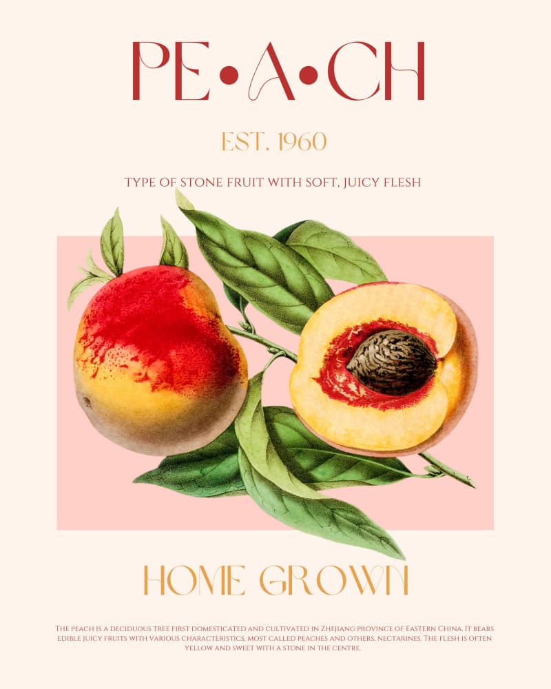 Fresh Peach Botanical by Nazma Khokhar — canvas wall art
