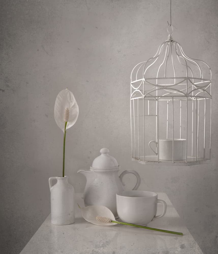 White Birdcage Peace Lilies by Margareth Perfoncio — canvas wall art
