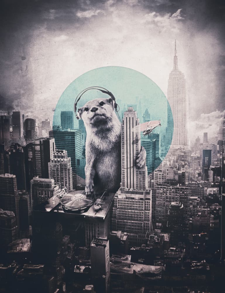 Urban Otter DJ by Ali Gulec — canvas wall art