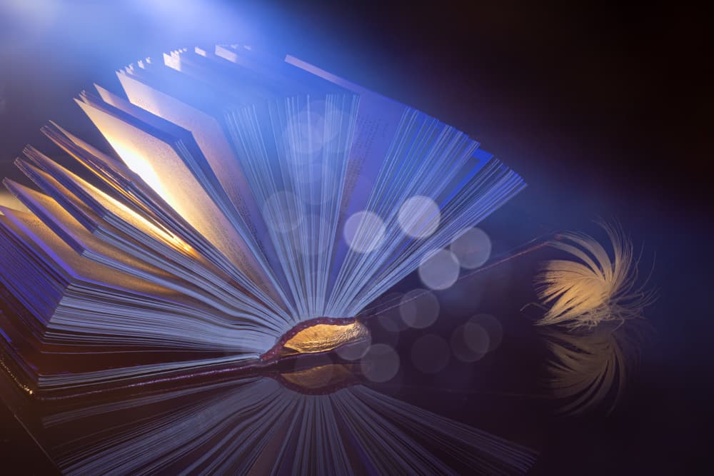 Ethereal Open Book by Igor Kopcev — canvas wall art