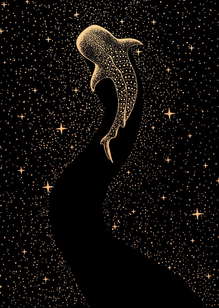Cosmic Whale Shark by Alirıza ÇAKIR — canvas wall art