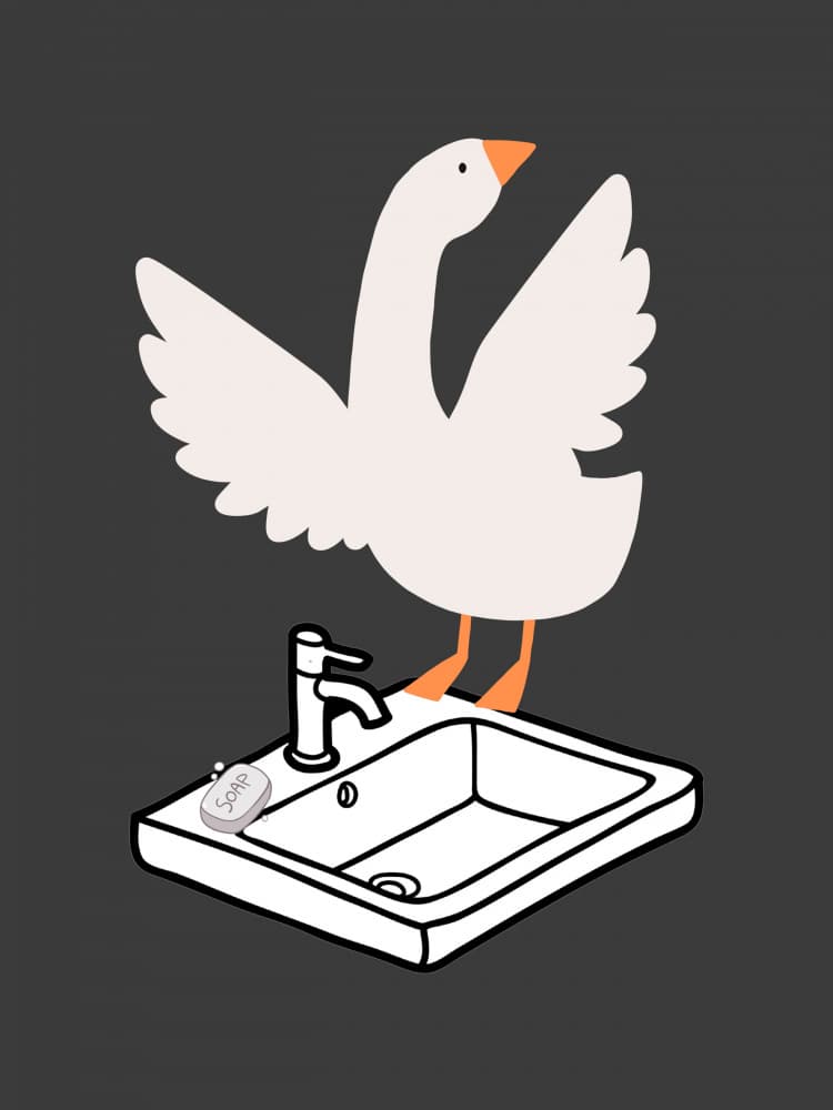 Silly Goose - Sink Art Black by Jolly and Dash — canvas wall art