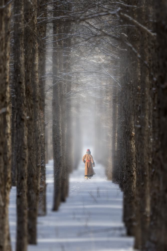 Solitary Winter Path by Irene Wu — canvas wall art