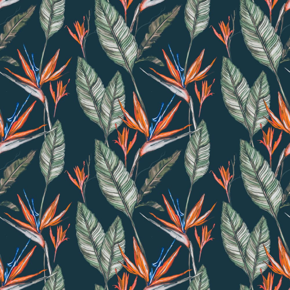 Vibrant Tropical Birds of Paradise by Josie George — canvas wall art