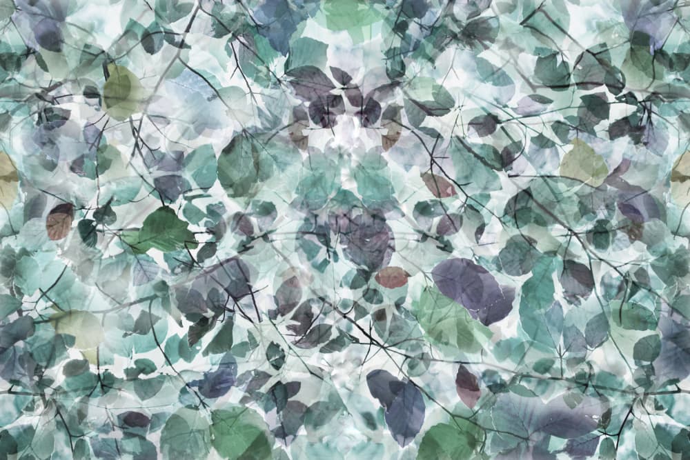 Tranquil Teal Foliage by Christina Sillen — canvas wall art