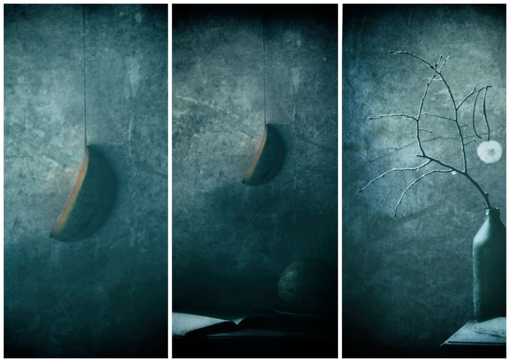 Crescent Moon Branches by Delphine Devos — canvas wall art