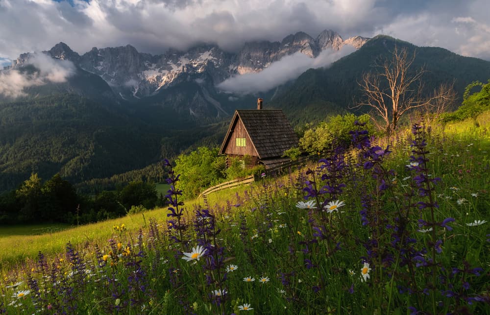 Mountain Meadow Cabin by Ales Krivec — canvas wall art
