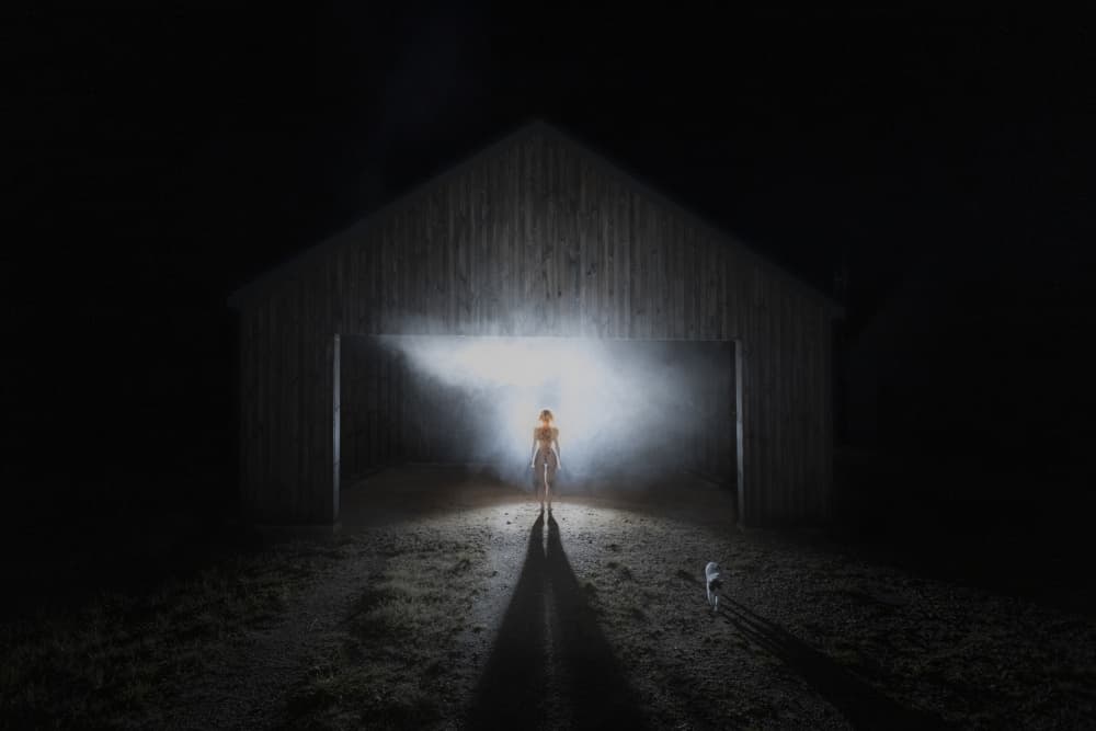 Mysterious Night Encounter by Leszek Paradowski — canvas wall art