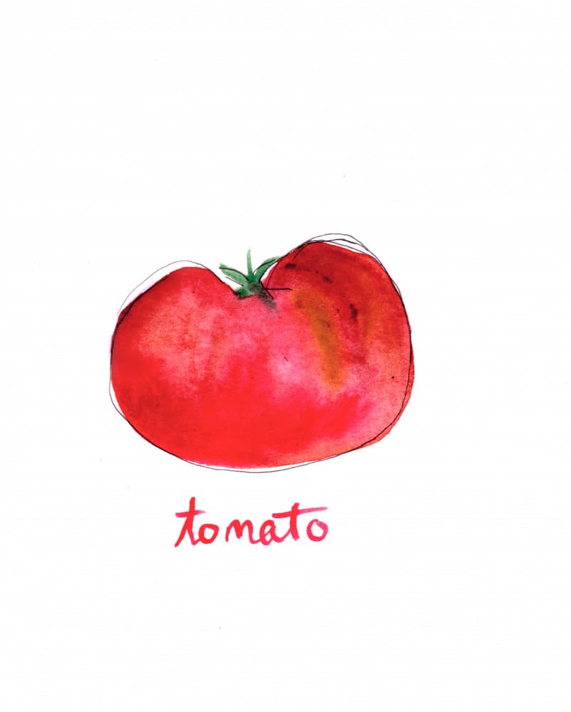 Fresh Red Tomato by Christine Lindstrom — canvas wall art