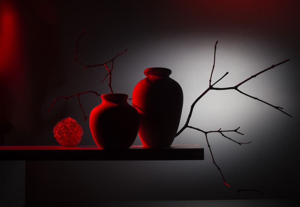 Modern Red Still Life by Evgeniy Popov — canvas wall art