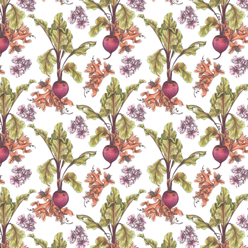 Botanical Garden Beets by Cecilia Battaini — canvas wall art