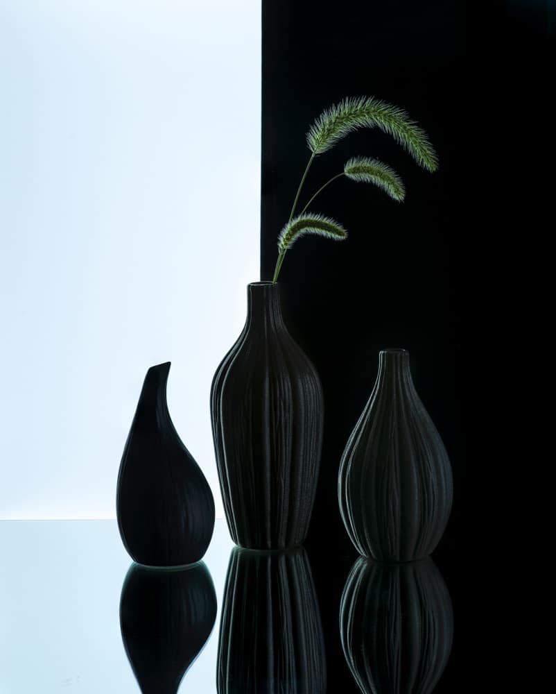Elegant Vases with Grass by Alice Sheng — canvas wall art
