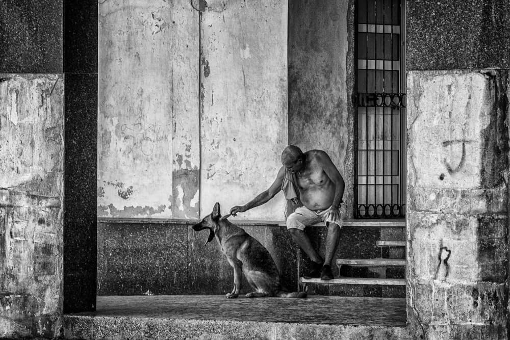 Man and His Dog by Pavol Stranak — canvas wall art