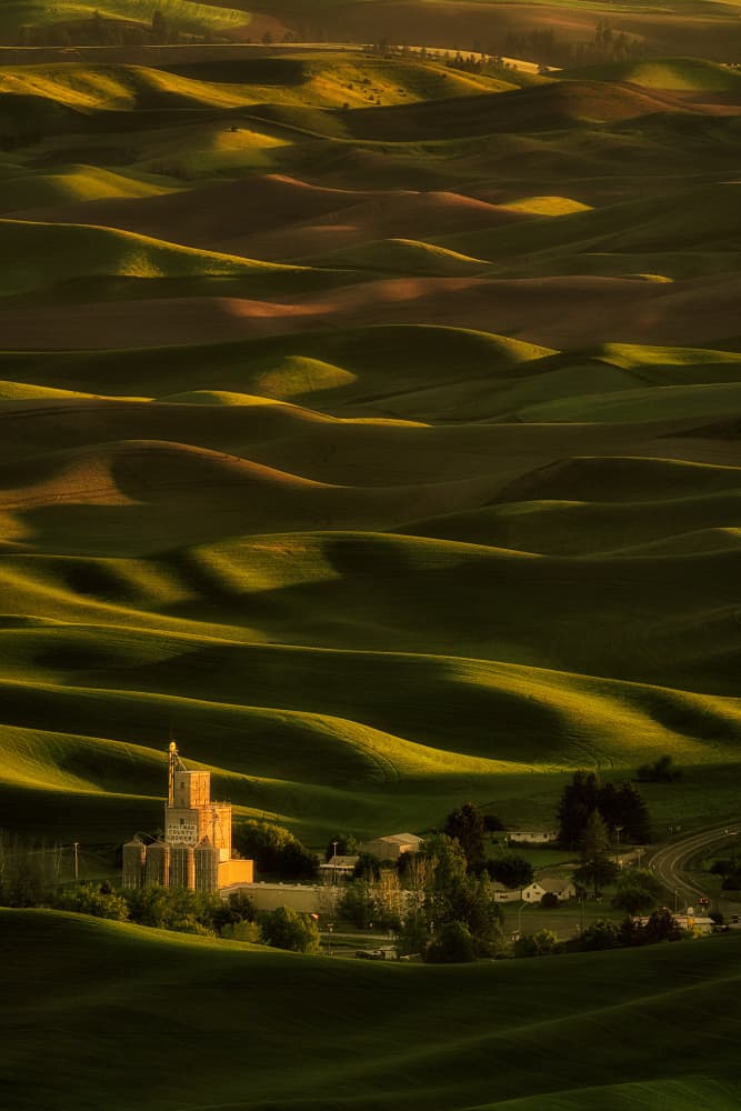 Golden Rolling Hills Landscape by Lydia Jacobs — canvas wall art